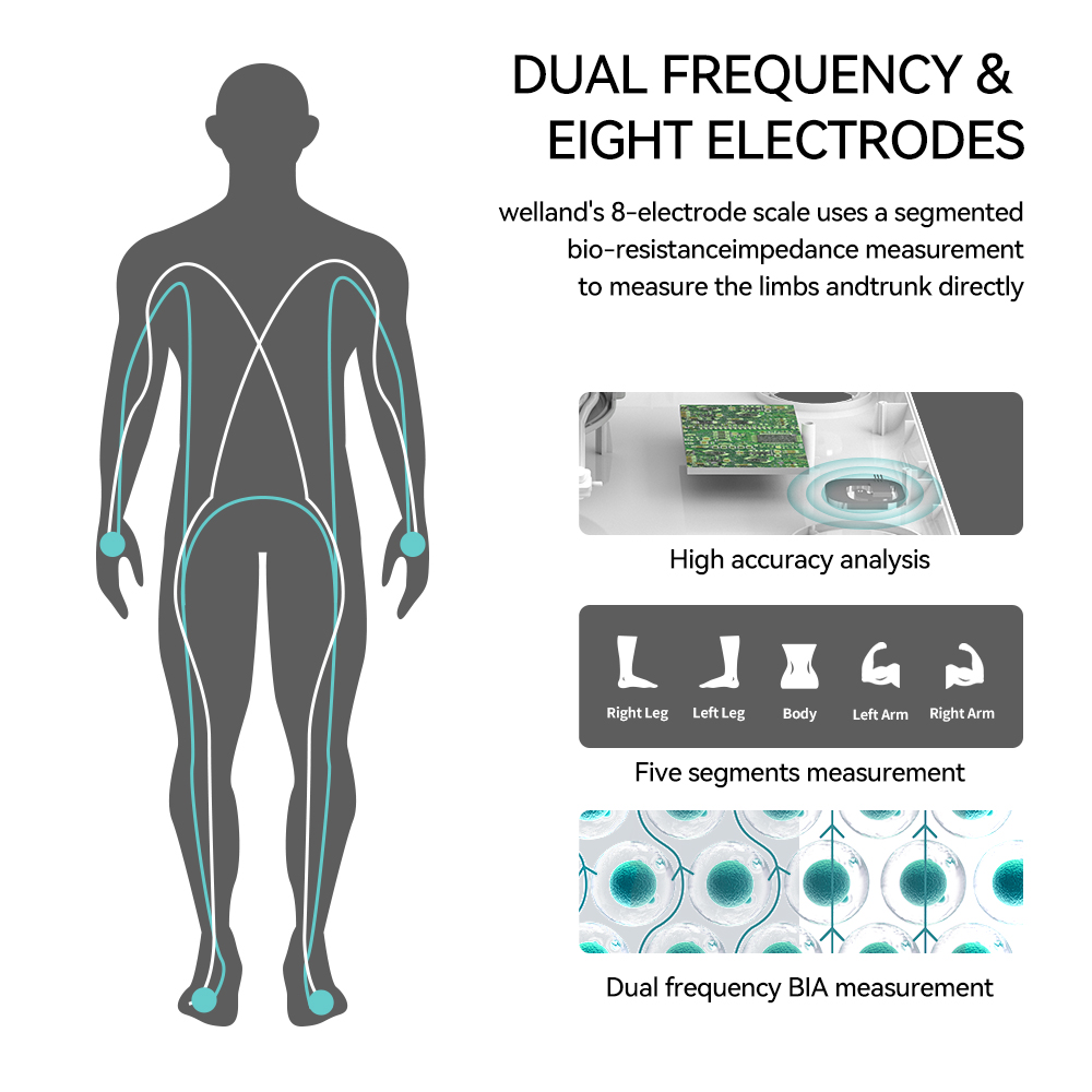 Smart 8 Elektroda Skala Berat  - Body Fat Scale Smart ulasan dan harga