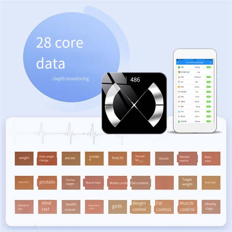 M12K-Timbangan Elektronik Pint - Body Fat Scale Smart ulasan dan harga
