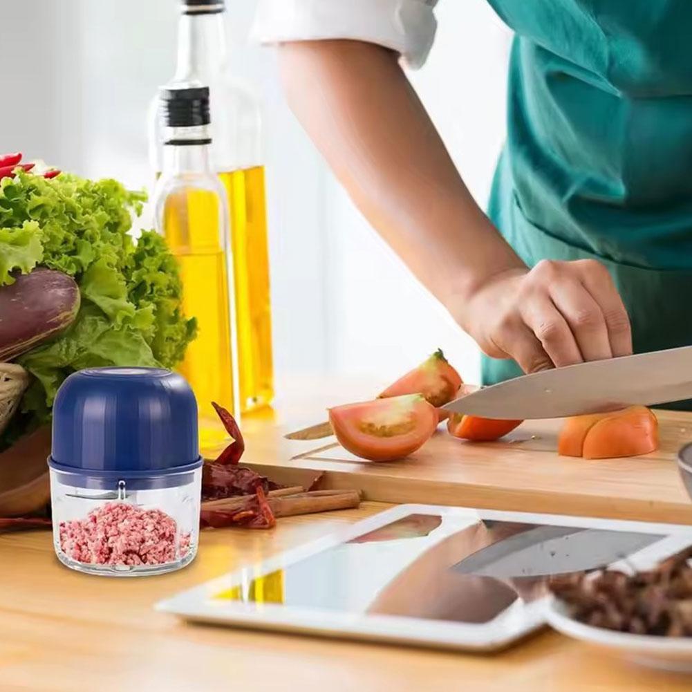 Penggiling Bawang Putih Mini E - Kitchen Electronics Gadgets ulasan dan harga